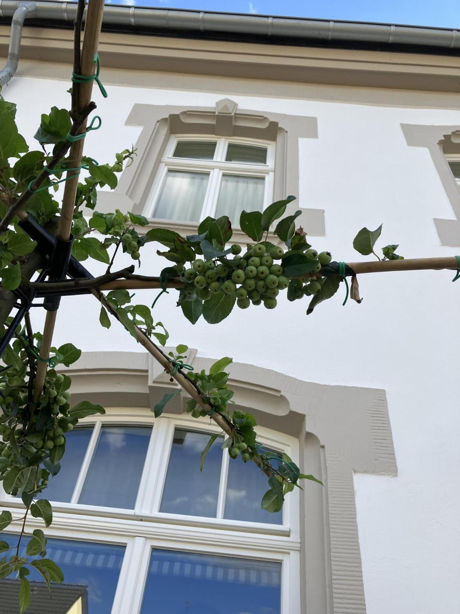 Gaestehaus Cantzheim Kanzem Luaran gambar